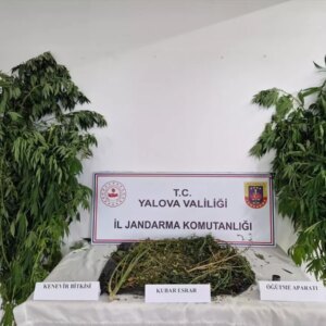 yalovada uyusturucu operasyonu 2 tutuklama 58rT2cUS